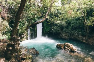robert-bye-gFSqwxMTYXw-unsplash
